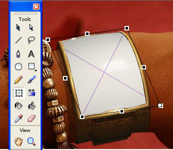 The Video object is distorted.